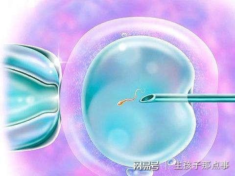 预产期