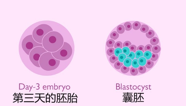 预产期电影恐怖