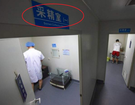 预产期2月份生男生女