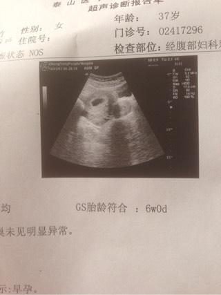孕期周数