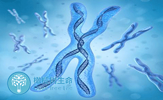 预产期
