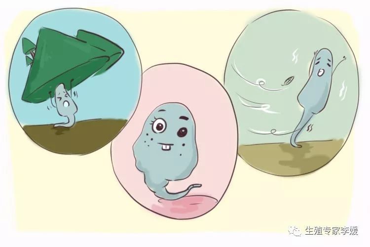 预产期电影