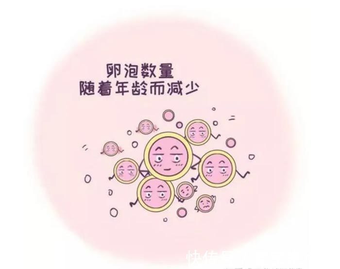 四维超声检查