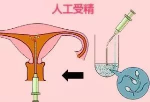 预产期计算