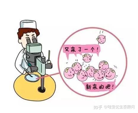 预产期