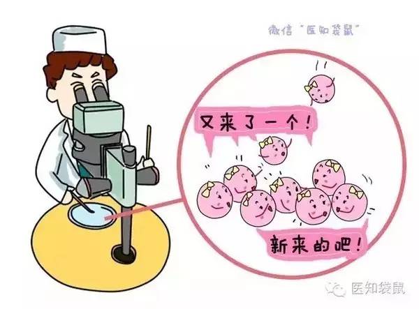 预产期计算