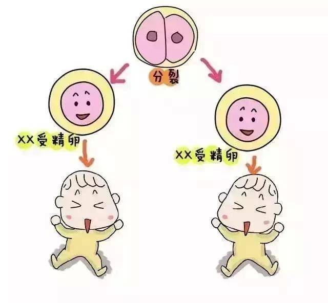 预产期
