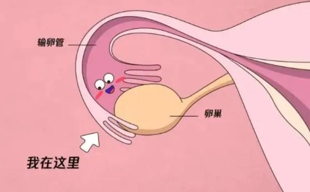 分娩