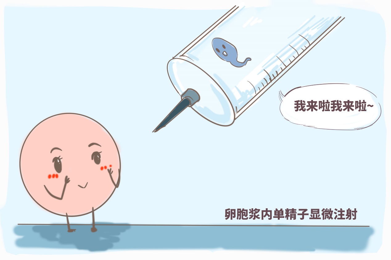 算预产期