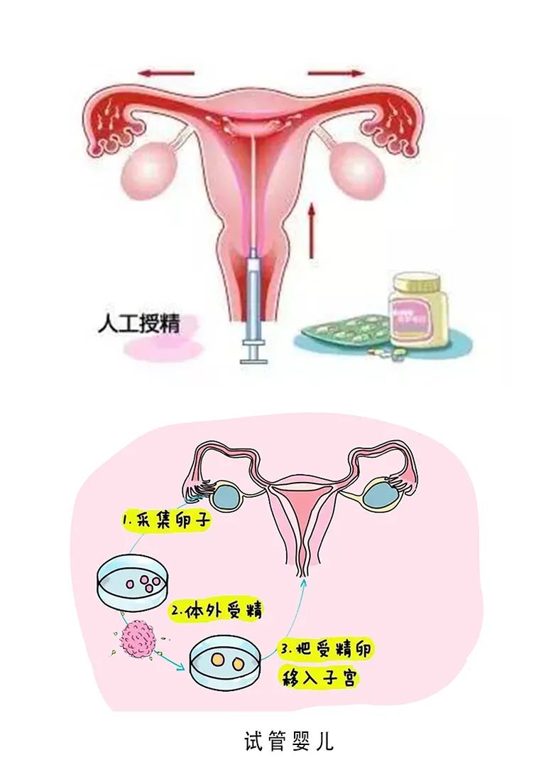 预产期计算器