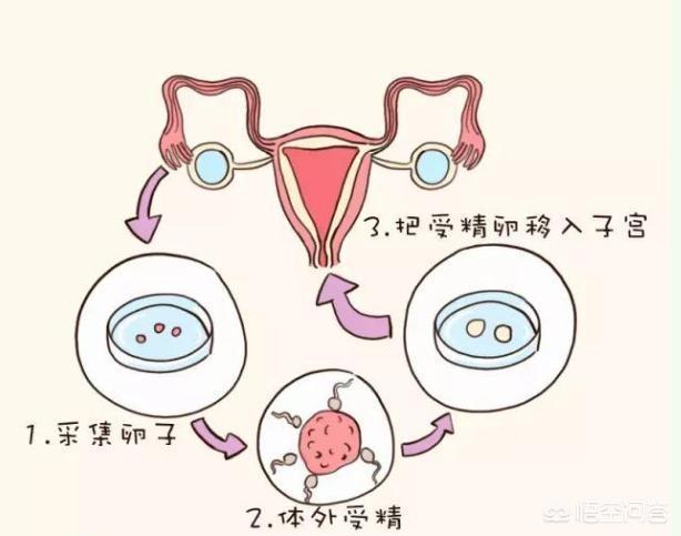 预产期