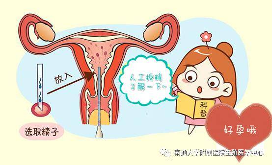 南宁专业试管机构