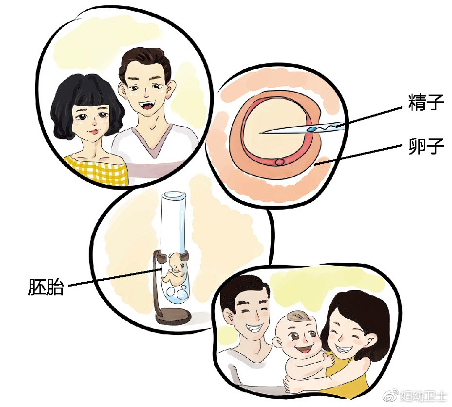 南京试管排名前十的医院