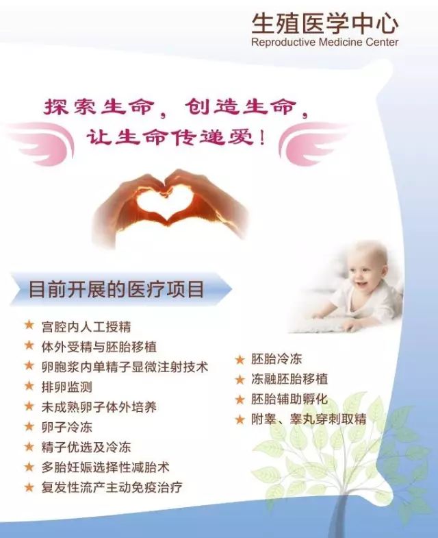 南宁人工授精