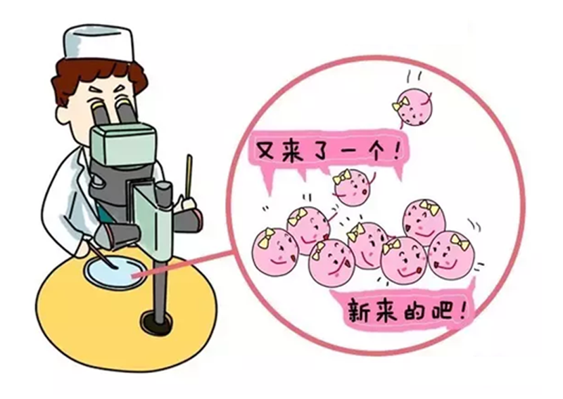 南宁人工受孕